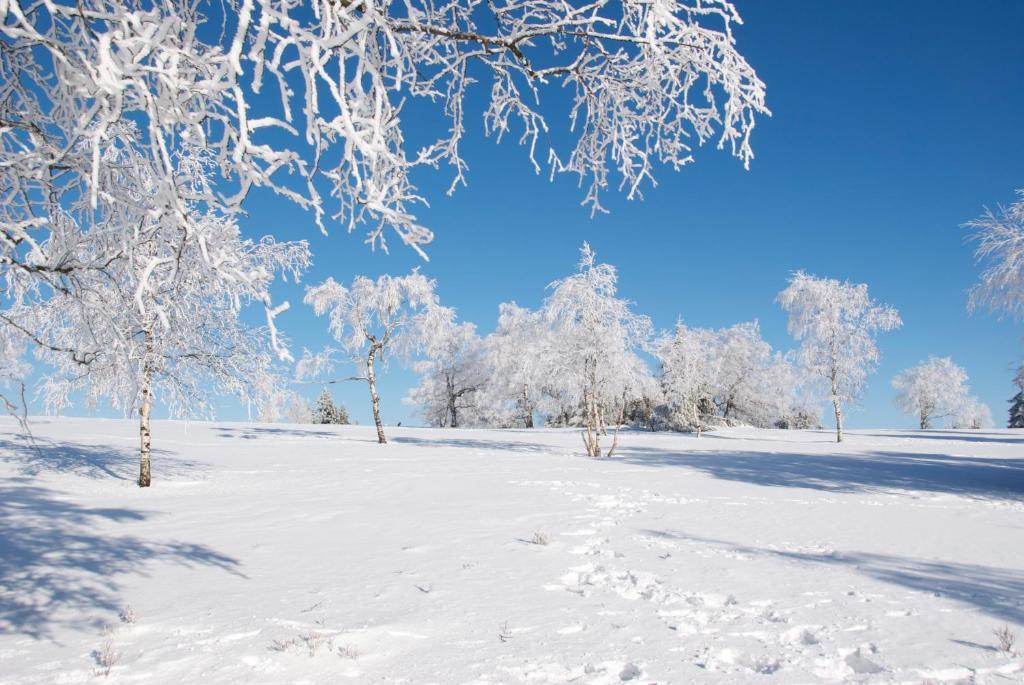 Bed&Breakfast Winterberg