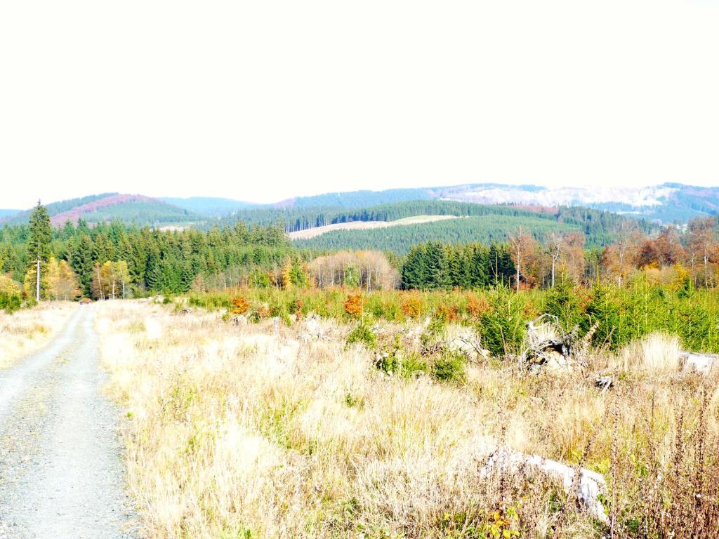 Bed&Breakfast Winterberg 3*